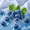 blueberry powder extract for skin care